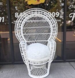 Peacock chair